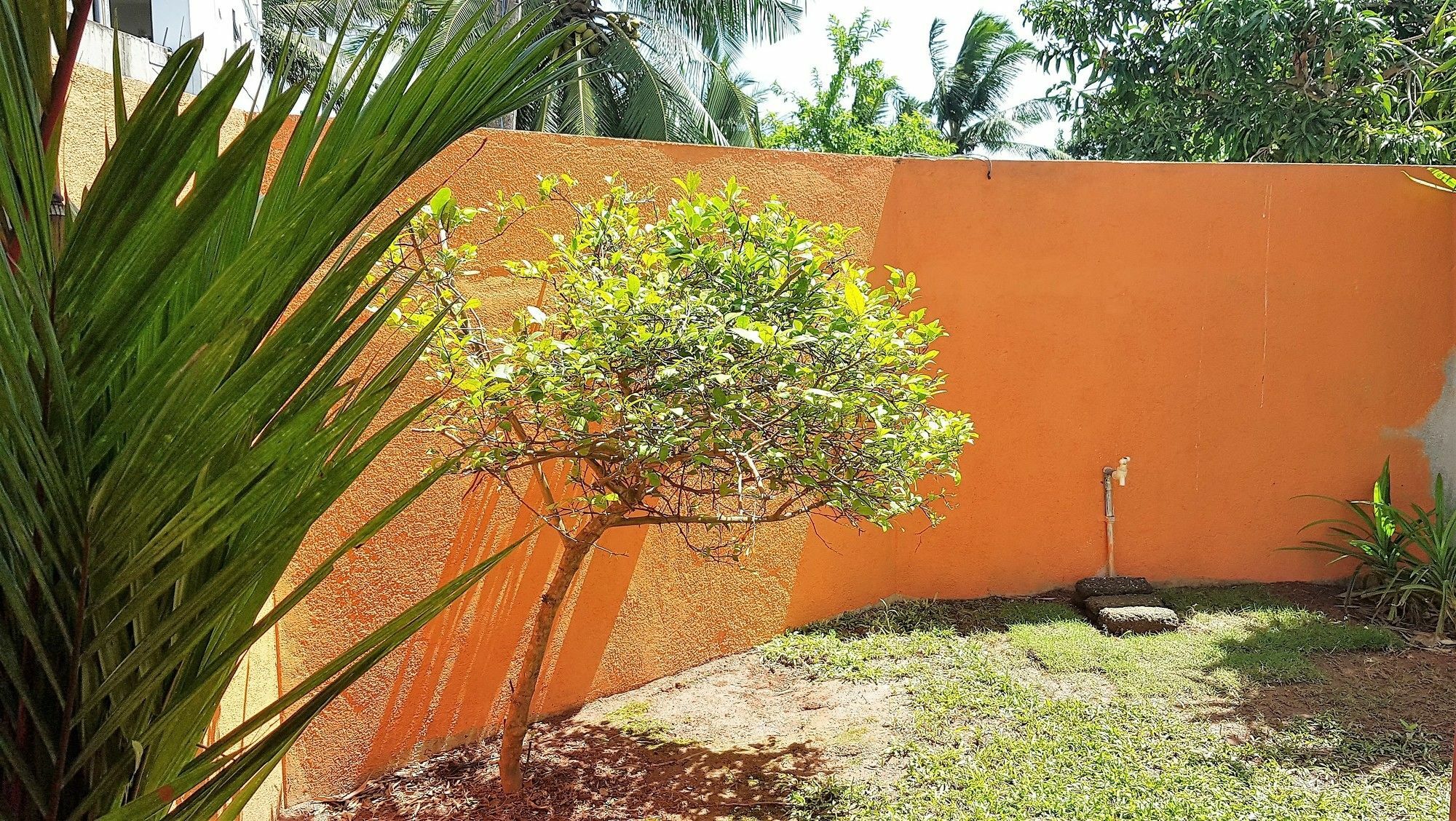 Yoyo Airport Hostel Negombo Exterior photo