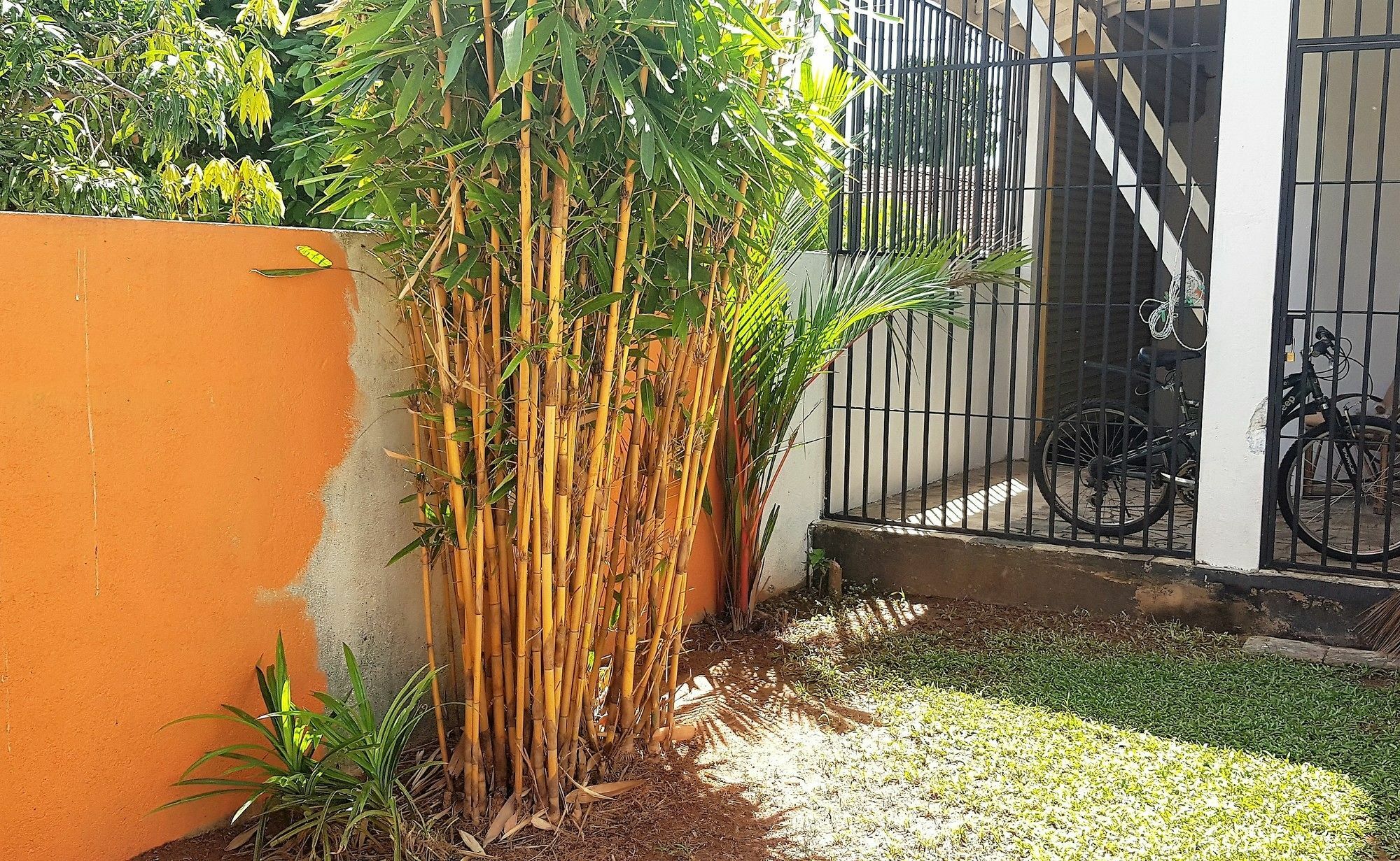 Yoyo Airport Hostel Negombo Exterior photo